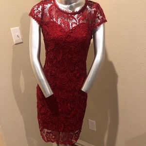 Beautiful elegant red rose flower. Size medium